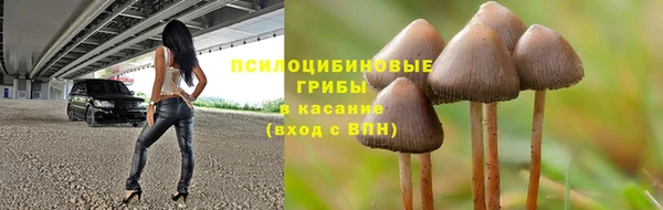 соль курить ск Алзамай