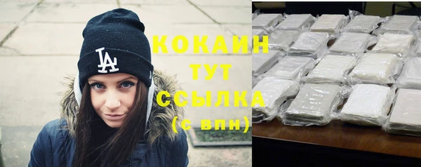 гидра Новозыбков