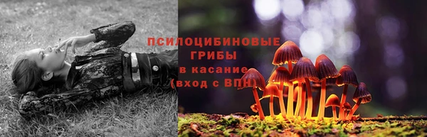соль курить ск Алзамай