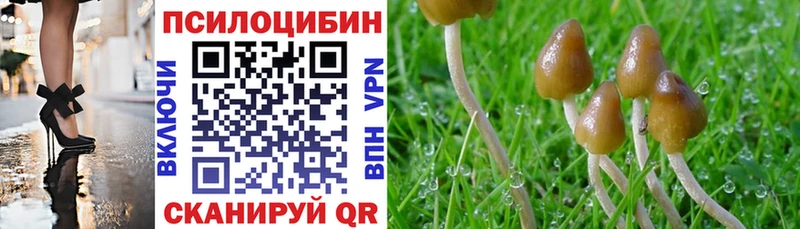 Псилоцибиновые грибы мухоморы  Югорск 